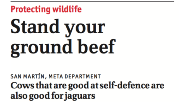 Screen Shot 2017-05-08 at 21.07.32